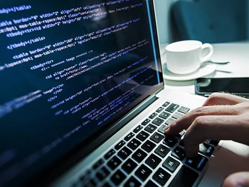 web developer (1)